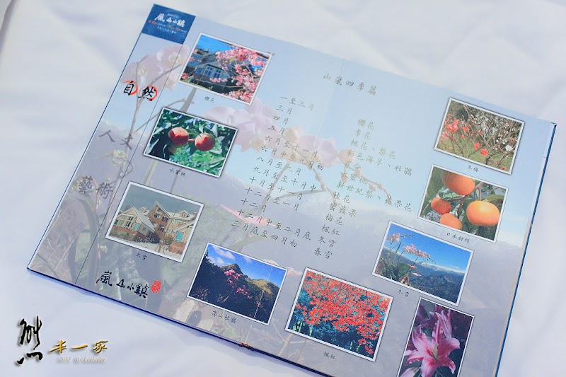嵐山小鎮|家庭房型