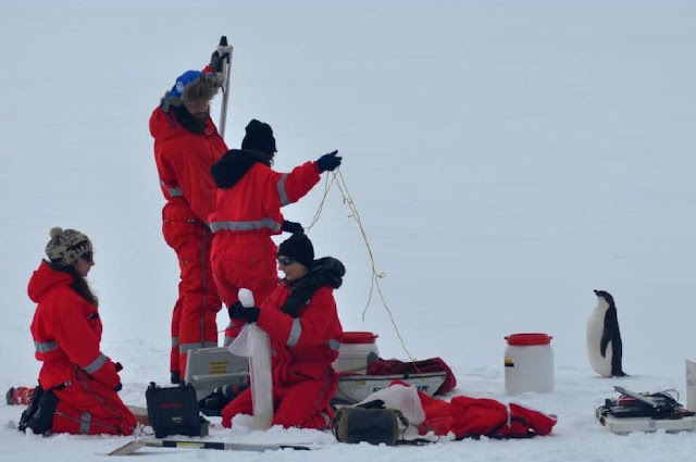  A penguin checking out researchers setting up equipment in Antartica. No Kicking Penguins and other stories about penguins. marchmatron.com