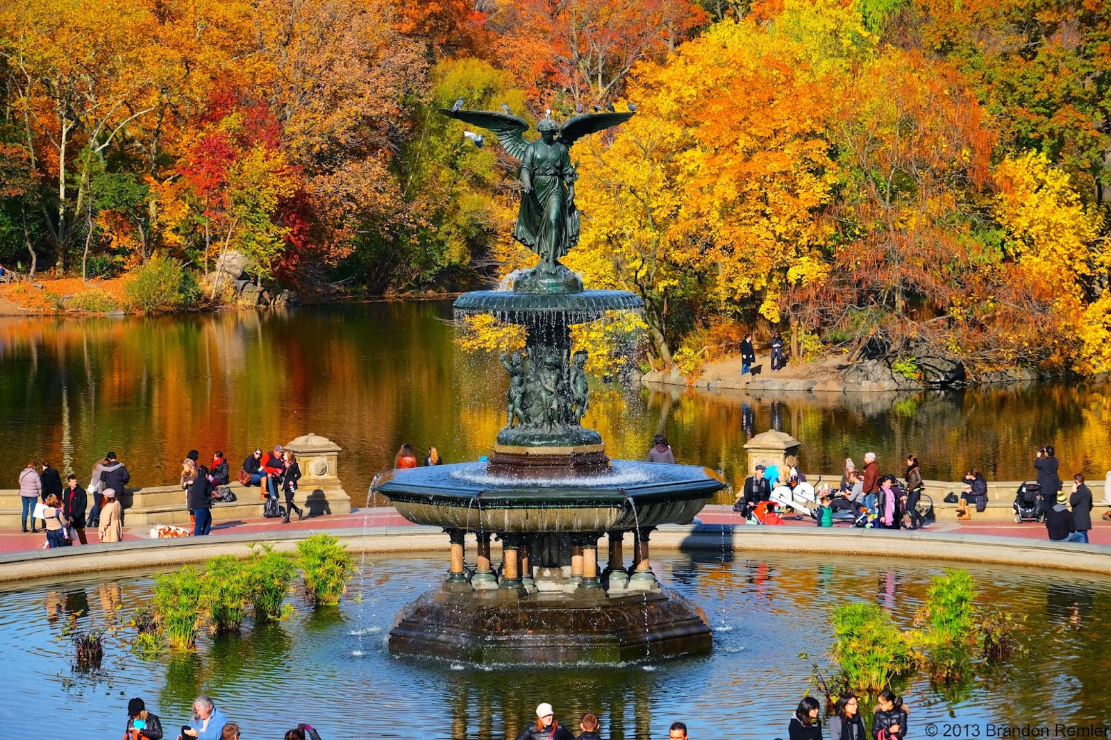 Thoughts From My Camera: Central Park Fall Colors