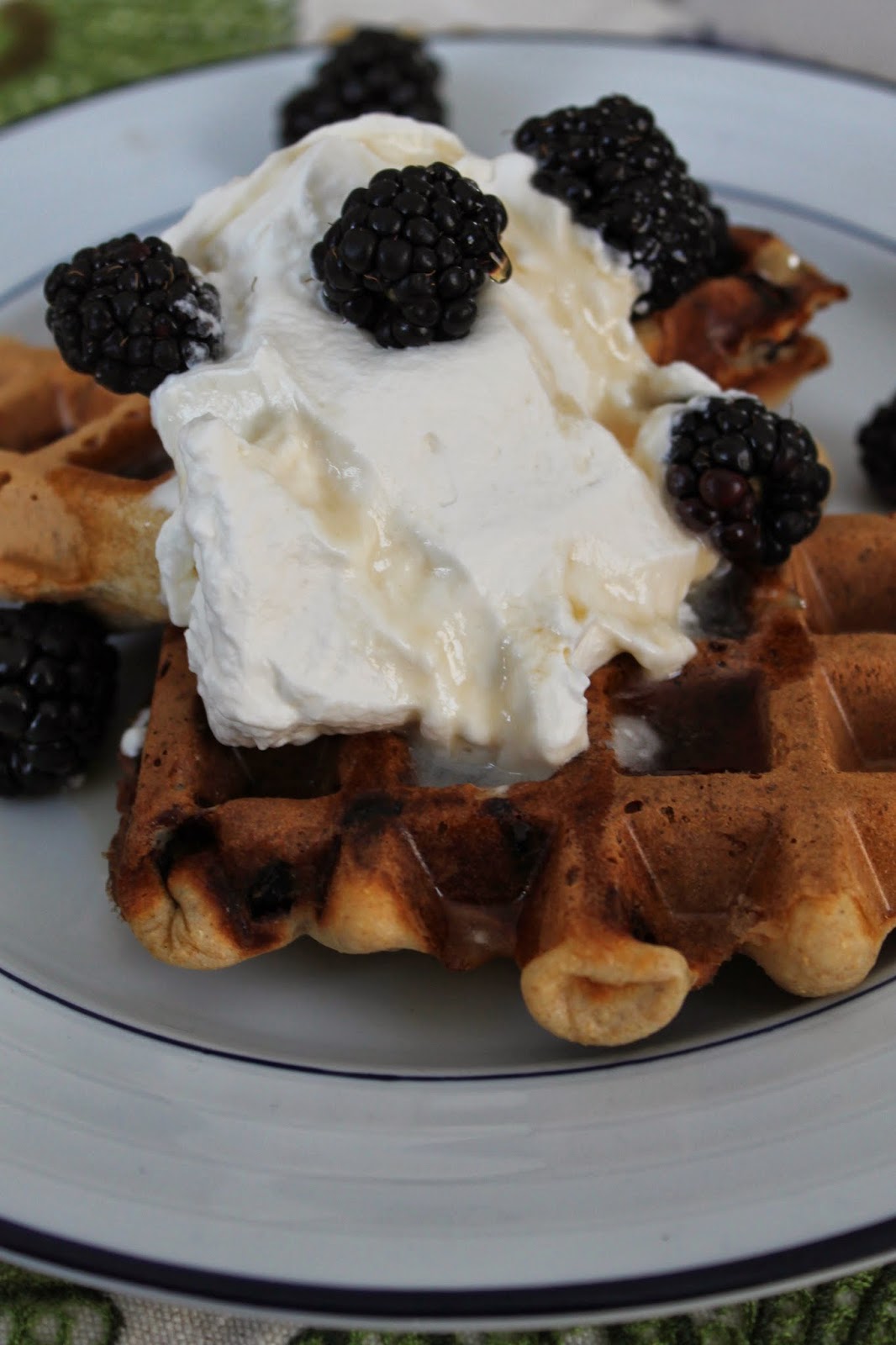 Life on Food Chocolate Chip Waffles for Two