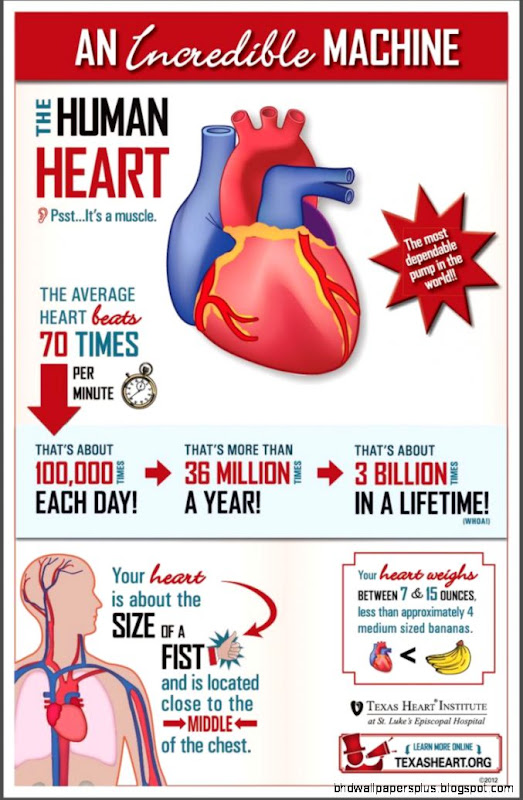 Face the Facts on Pinterest  Heart Health Hispanic Women and