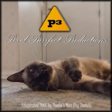 Pixel Purrfect Productions