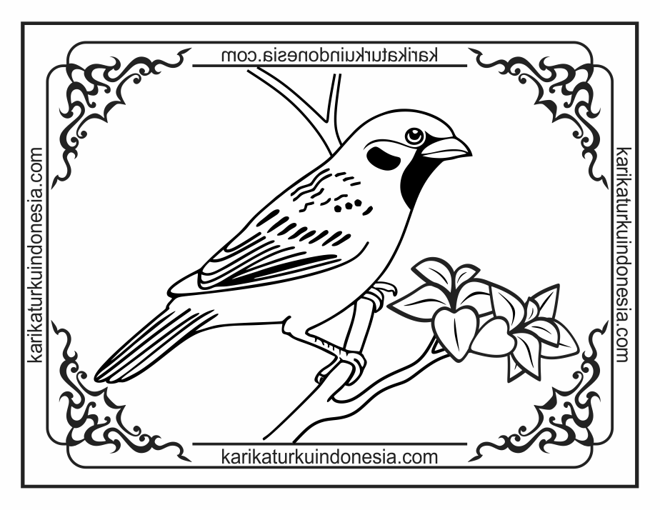 Karikaturku Indonesia Mewarnai Gambar Burung Sederhana Untuk Paud