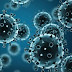 ученые создают вирус-убийцу раковых клеток