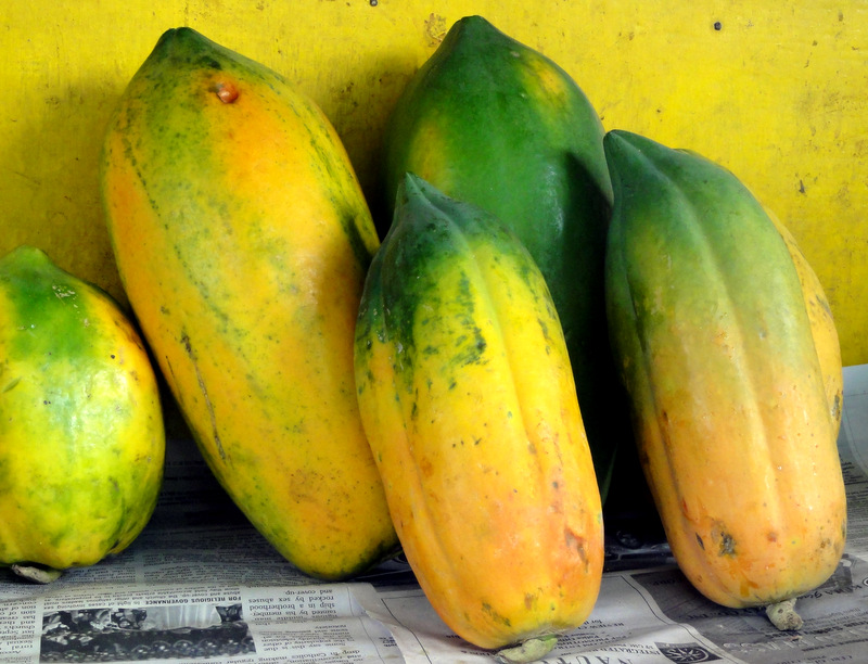 Ramos (Tropical) Fruit Market in Cebu, Philippines Travel and