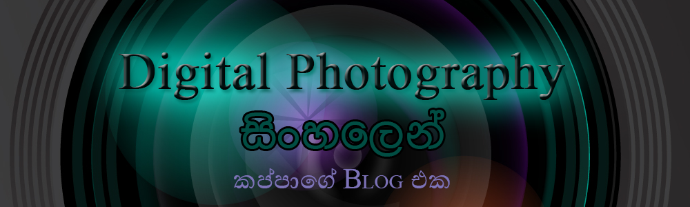 කප්පාගේ Blog එක