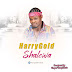 [DOWNLOAD MUSIC] Harry Gold _ Shalewa(Prod by Dogoo Yung)