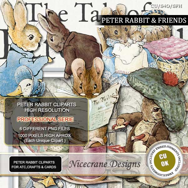 Nicecrane Designs: Peter Rabbit`Birthday Party Custom Products