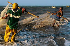 DÍA INTERNACIONAL DEL PESCADOR 26 de Enero