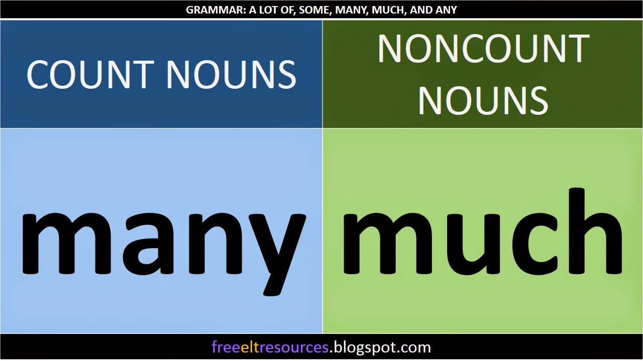 GRAMMAR: A Lot Of, Some, Many, Much, Any