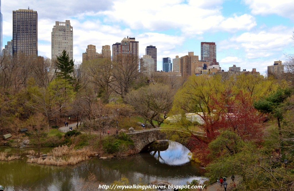 My Walking Pictures: April Walks in Central Park