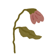 花の成長過程のイラスト7