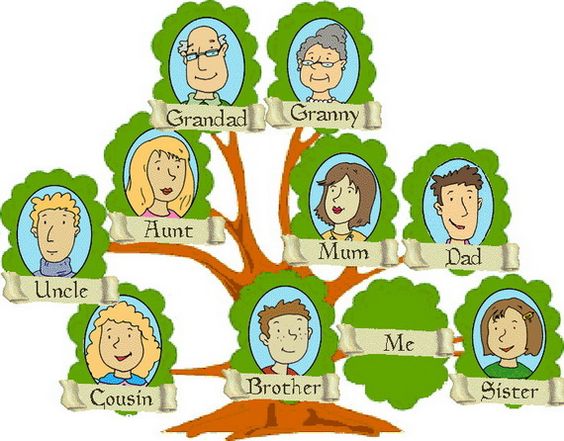 English Class: A family tree