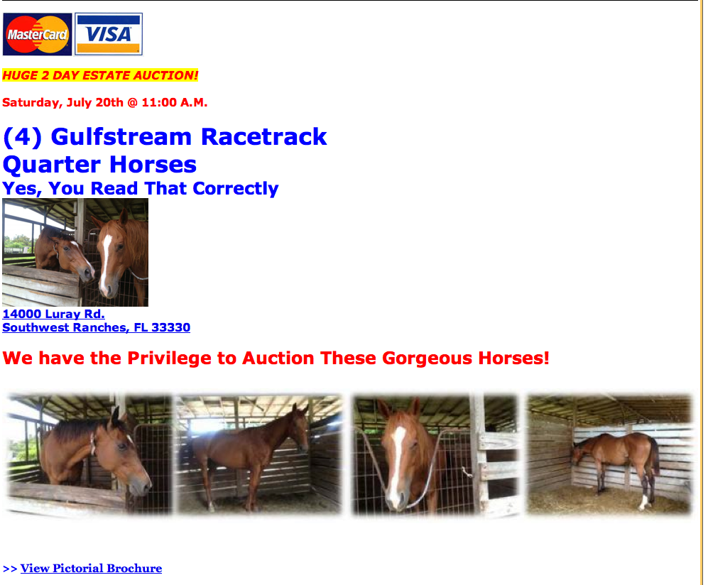 Horse Auction in S FL????? South Florida Horse