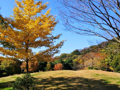 浄明寺緑地の紅葉・黄葉