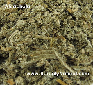 Como usar la alcachofa natural para bajar de peso