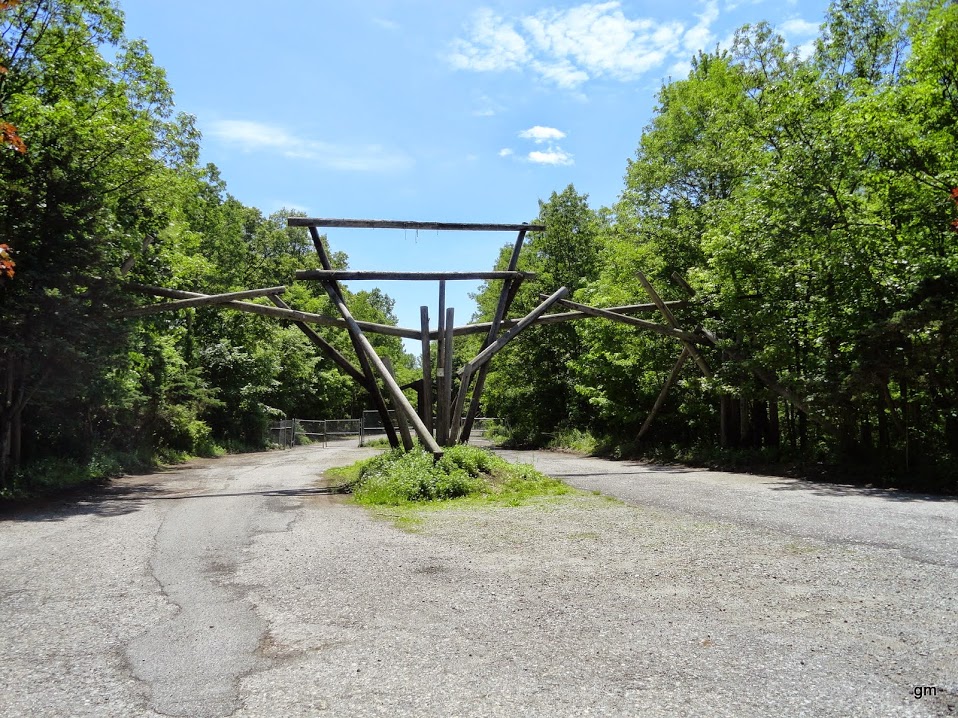 Where the Wild Things Were New Jersey's Jungle Habitat Go Retro!