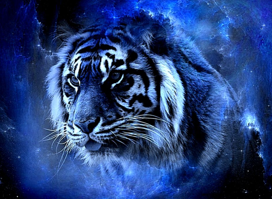 Tiger Wallpaper Collection 42