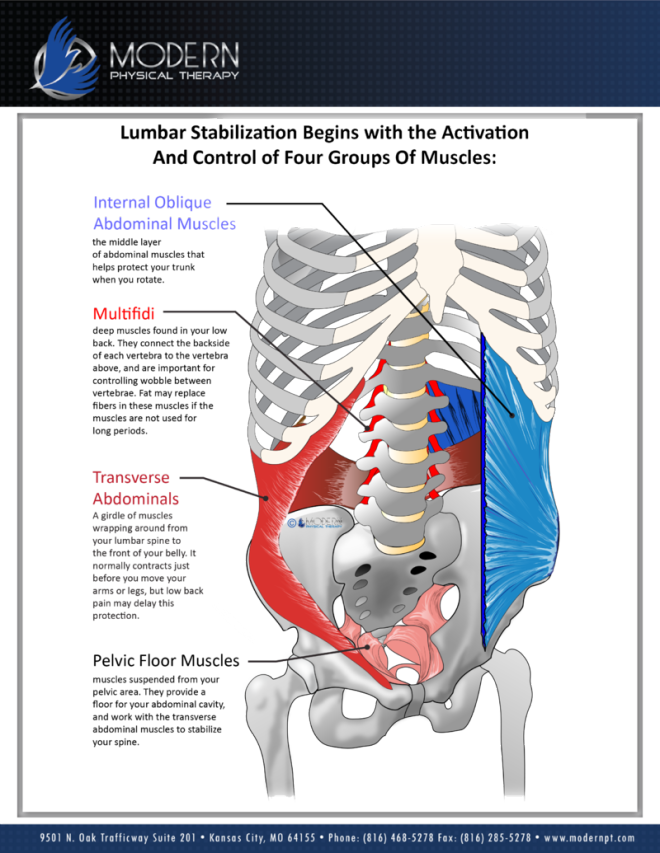 Core Muscles Core Muscles For Stabilization System