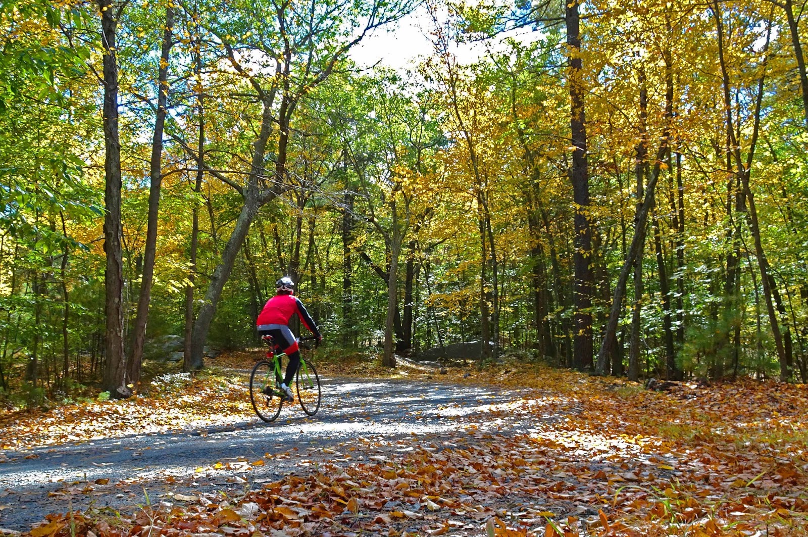 Joe's Retirement Blog A Fall Walk, Blue Hills Reservation, Milton