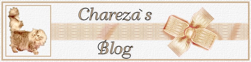 Chareza's Blog