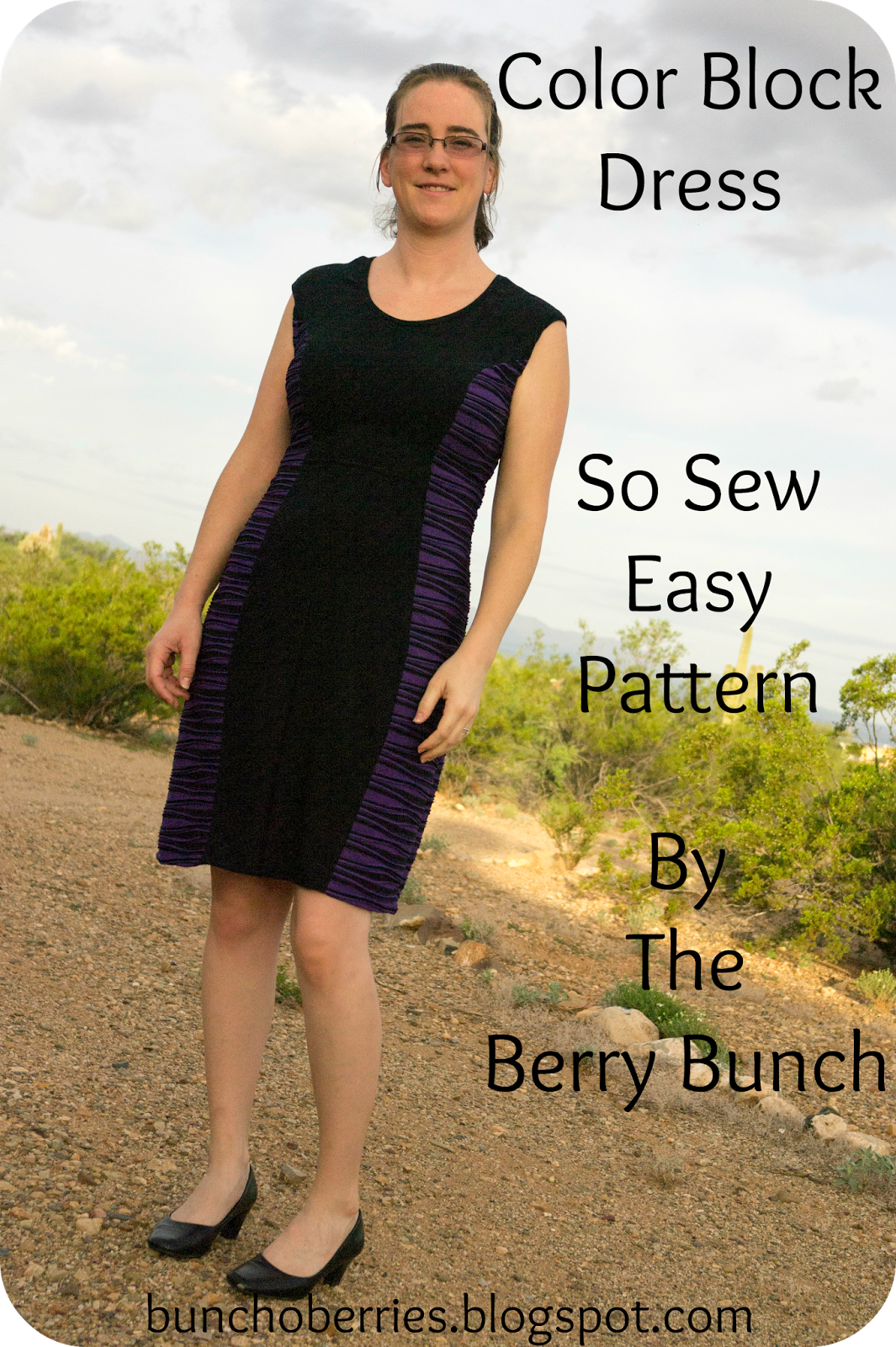 The Berry Bunch: Color Block Dress: So Sew Easy Blog tour
