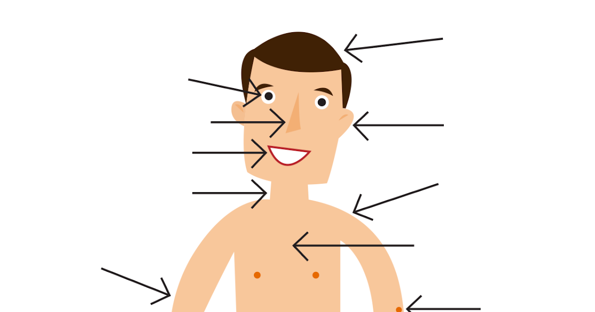 İngilizce Kelimeler Ve Anlamları - Vücut Parçaları - cufcufnet