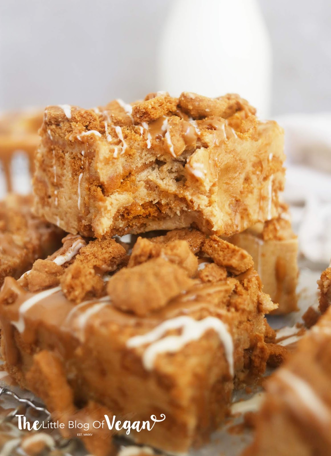 Nobake Biscoff fudge recipe The Little Blog Of Vegan