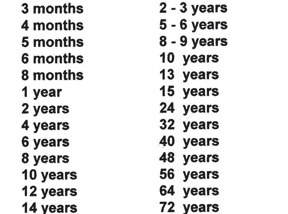 Cat Years - Cat Years To Human Years Conversion