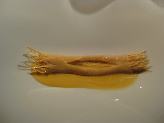 San Sebastian - Mugaritz - pasta with pumpkin and tomato sauce