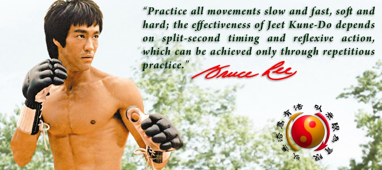 Martial Arts Koncepts Great Quote from Sigung Bruce Lee