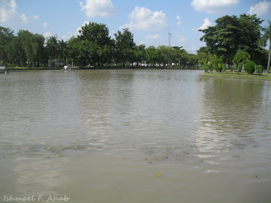 Man-made lake of Chatuchak Park