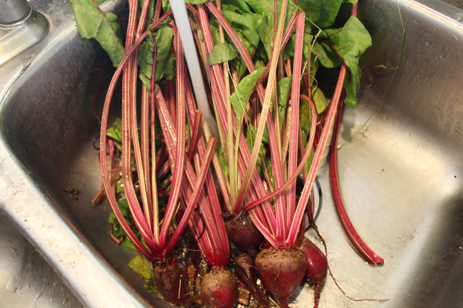 Living Our Lives Well Swiss Chard & Beet Greens