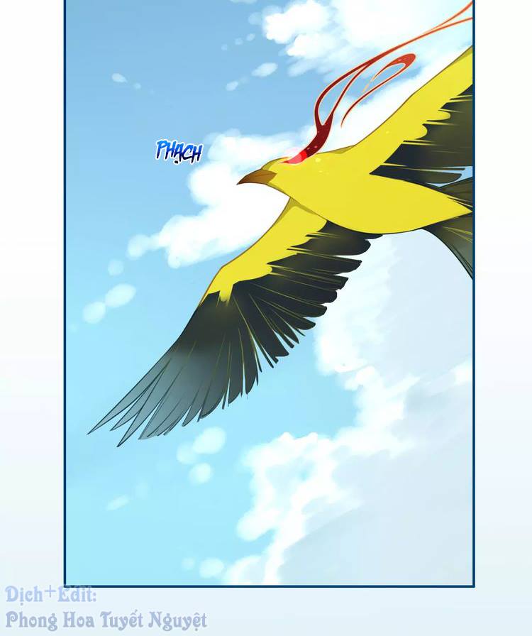 Cẩm Lý Quy - Chương 6 - Trang 5