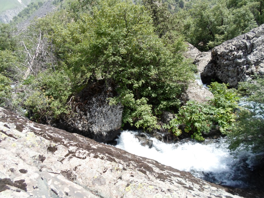 Дом отдыха каратаг таджикистан