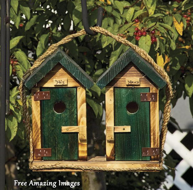 free amazing images 26 best and most creative bird house house designs plan free