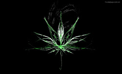 weed leaf 3d wallpapers cave record