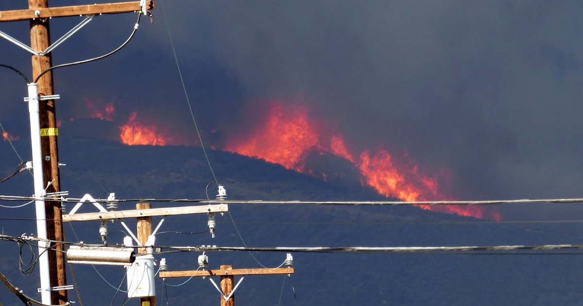 The Malibu Post Woolsey Fire Diary