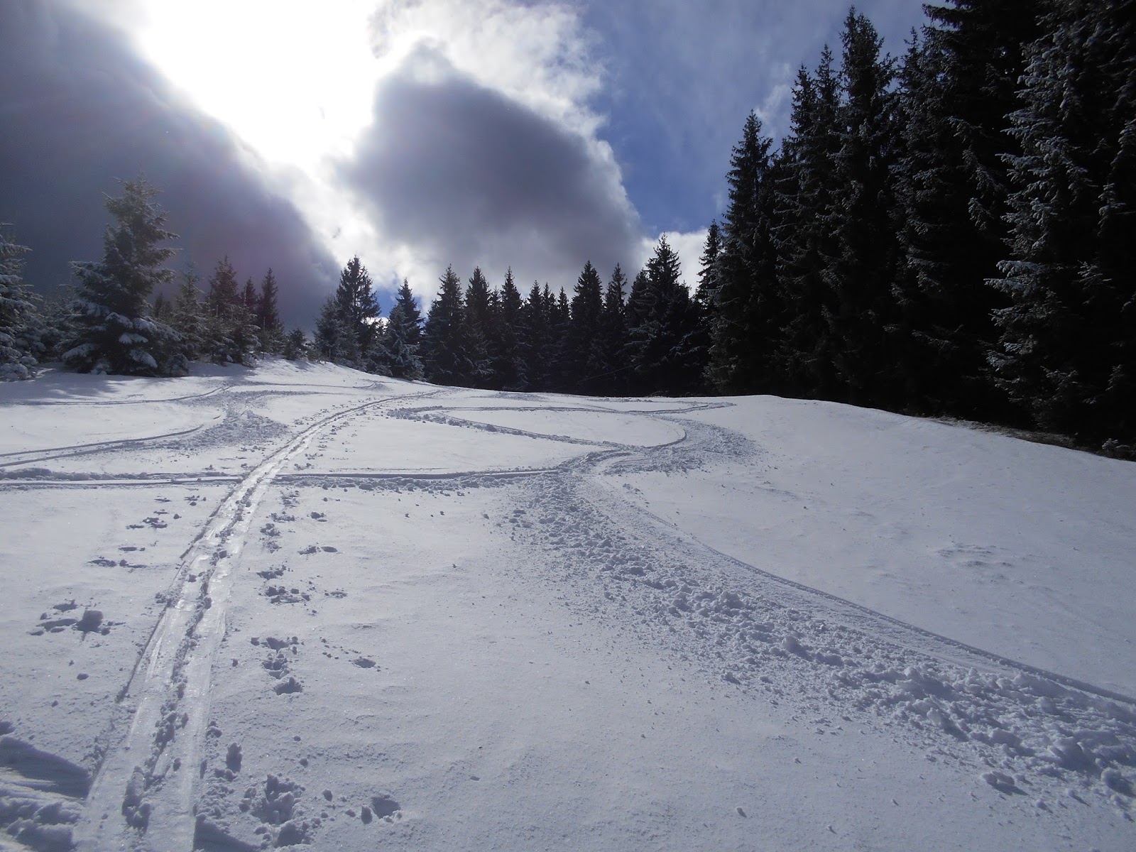 Pauli`s Skitouren Forsteralm