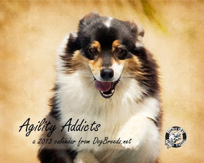 2013 Agility Calendar from DogBreedz.net
