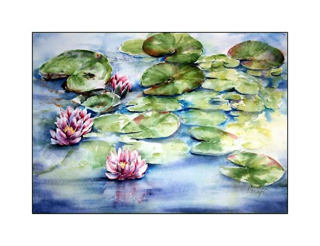 Seerosenteich Bilder: Zeichnen lernen mit dem Zauber der Seerosen