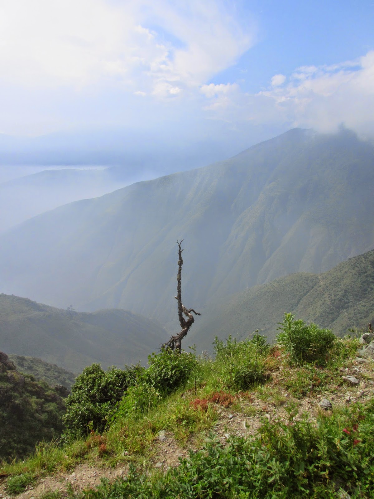 COMANDO ECOLOGICO PERU CONSERVACION DEL BOSQUE DE ZARATE