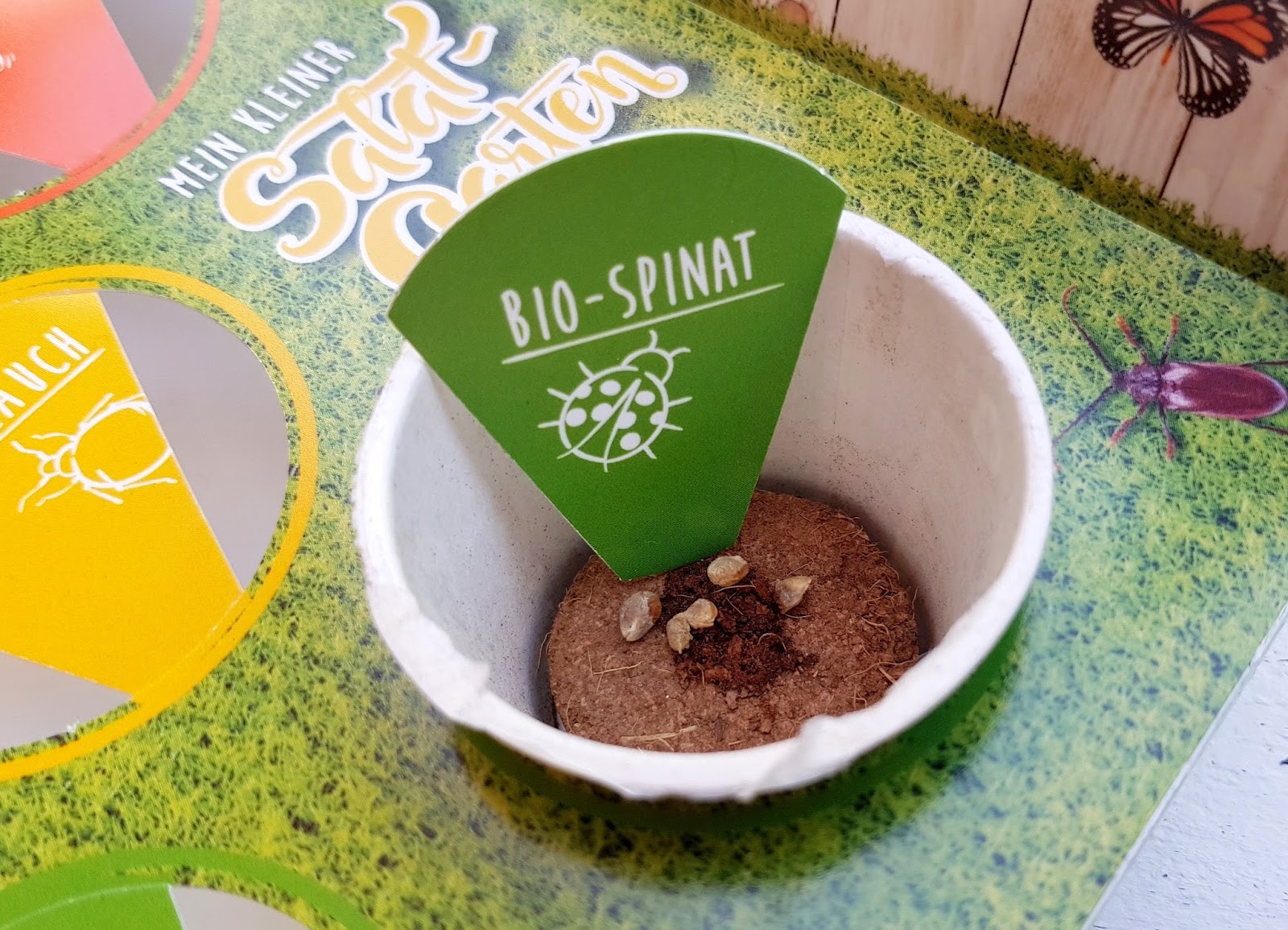 ♥ Der erste eigene kleine BioGarten ) ♥ eine tolle Familienaktion