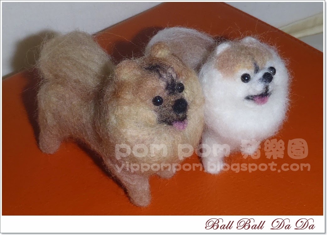 Pom Pom 豬樂園 My Little Pomeranians 迷上羊毛氈