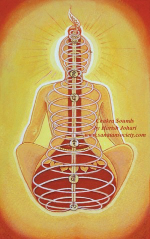 чакра прикола. чакры прикол. эзотерические шутки. свадхистана чакра. сахасрара чакра.