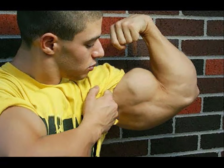 Muscle Morphs by hardtrainer01