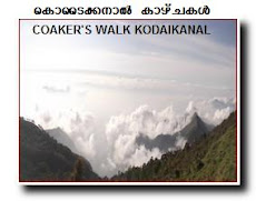 KODAIKANAL COAKER'S WALK