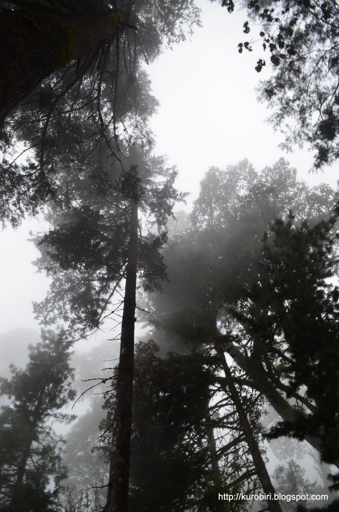 Donde el viento me llevó Montaña Peña Blanca