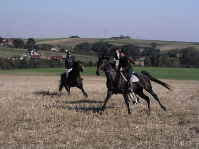 Konie, jazda konna, Hubertus 2015, pensjonat dla koni w Węgrzcach, pogoń za lisem