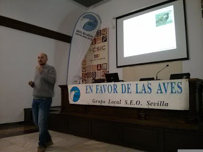 Conferencia: El declive del Gorrión común. Por José L. Aguirre, 13 de Diciembre. Grupo Local SEO-Sevilla.